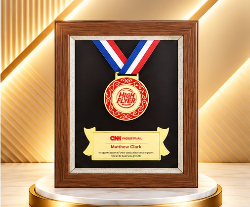 Executive Medal Recognition Frame Plaque