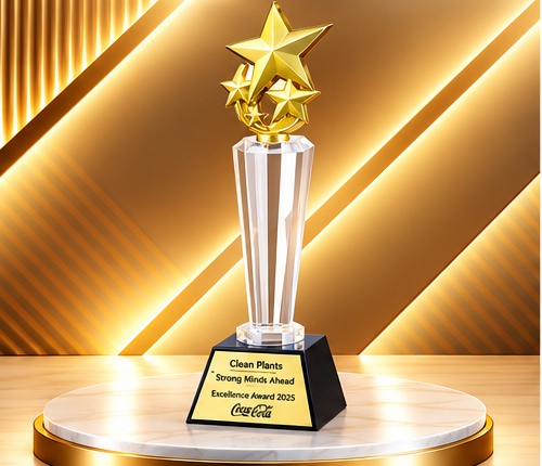 Golden Star Cluster Crystal Trophy 4653
